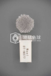 DT N077