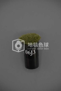 06J3