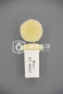 DT N502