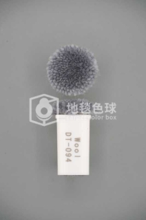 DT 094