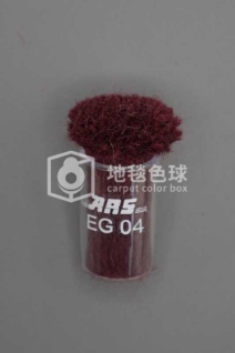 ARS EG04