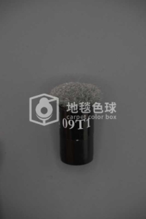 09T1