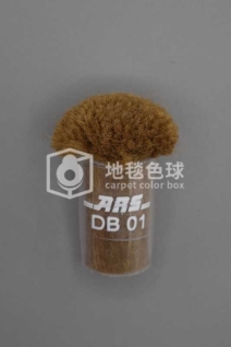ARS DB01