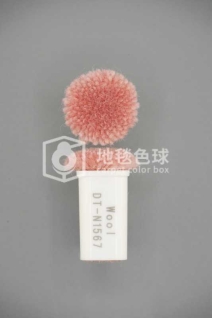 DT N1567
