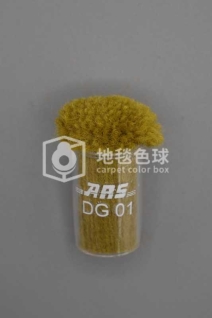 ARS DG01
