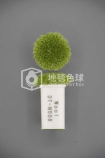 DT N508