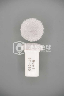 DT 080