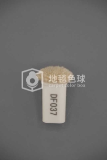 DF037
