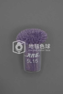 ARS 5L15