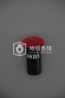 08B5