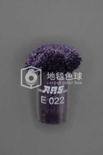 ARS E022
