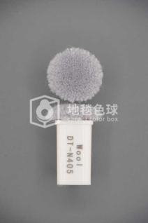 DT N405