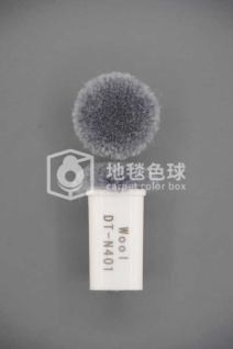 DT N401