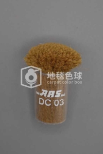 ARS DC03