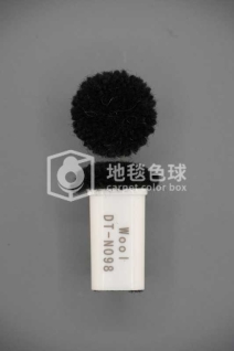 DT N098