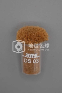 ARS DS03