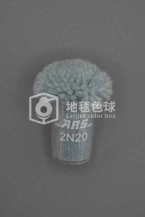 ARS 2N20