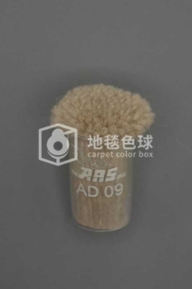 ARS AD09