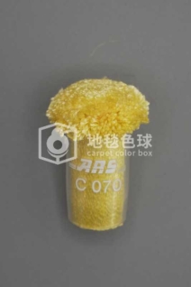 ARS C070