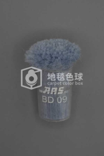 ARS BD09