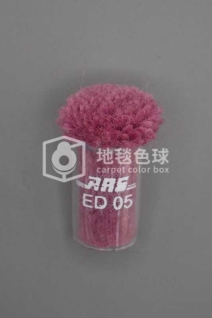 ARS ED05