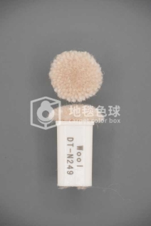DT N249