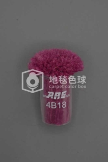 ARS 4B18