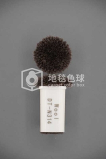 DT N314