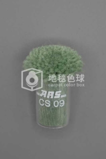 ARS CS09