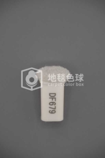 DF679