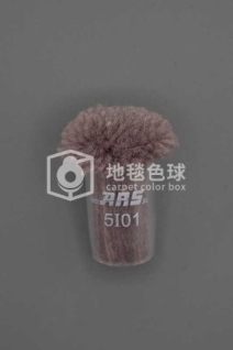 ARS 5I01