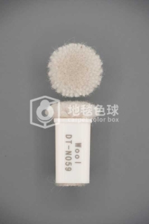 DT N059