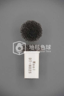 DT N025