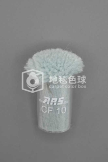 ARS CF10