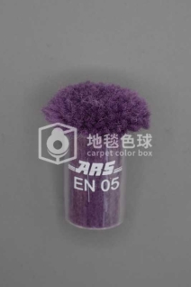 ARS EN05