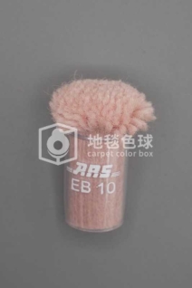 ARS EB10