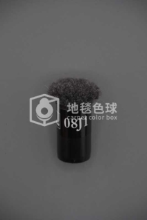 08J1