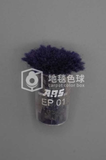 ARS EP01