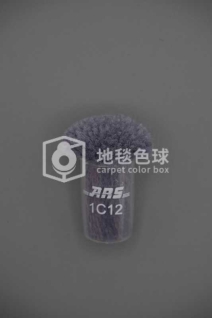 ARS 1C12