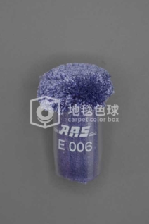 ARS E006