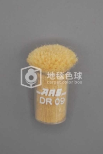 ARS DR09