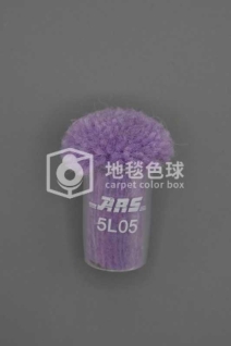ARS 5L05