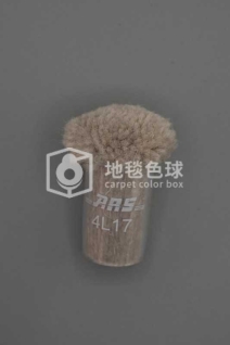 ARS 4L17