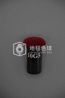 10G5