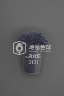 ARS 2I01