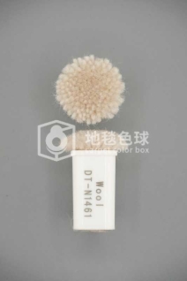 DT N1461