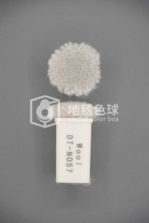 DT N057