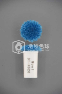 DT N620