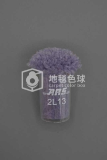 ARS 2L13