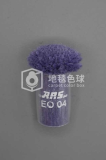 ARS EO04